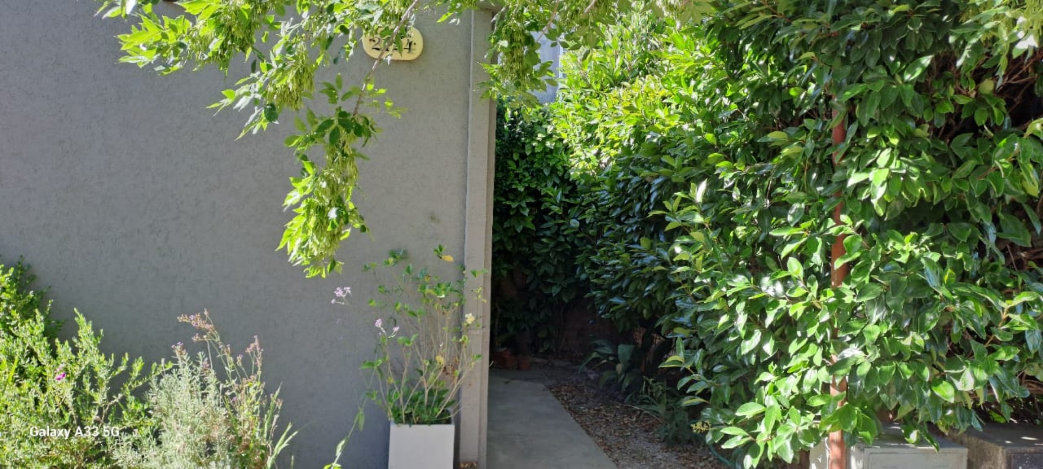 Duplex en Alquiler