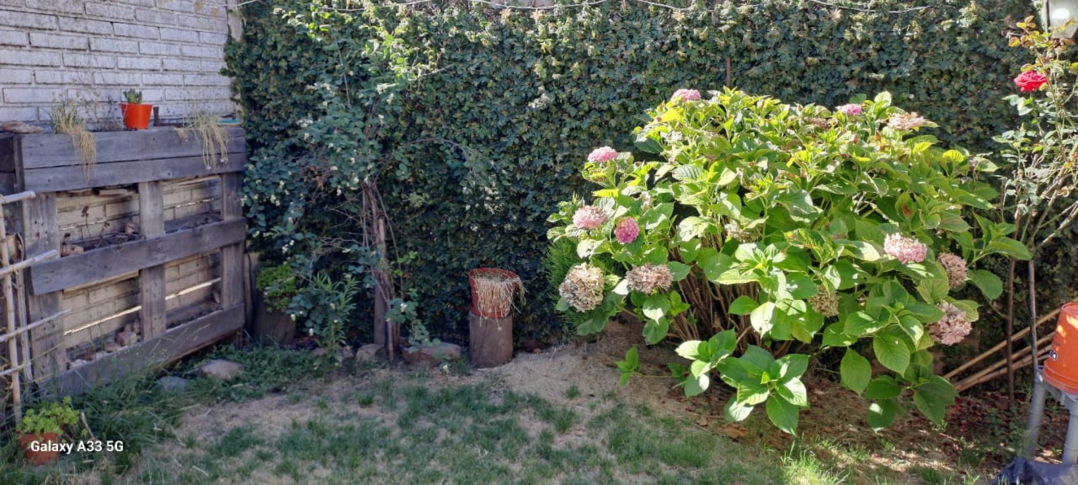Duplex en Alquiler